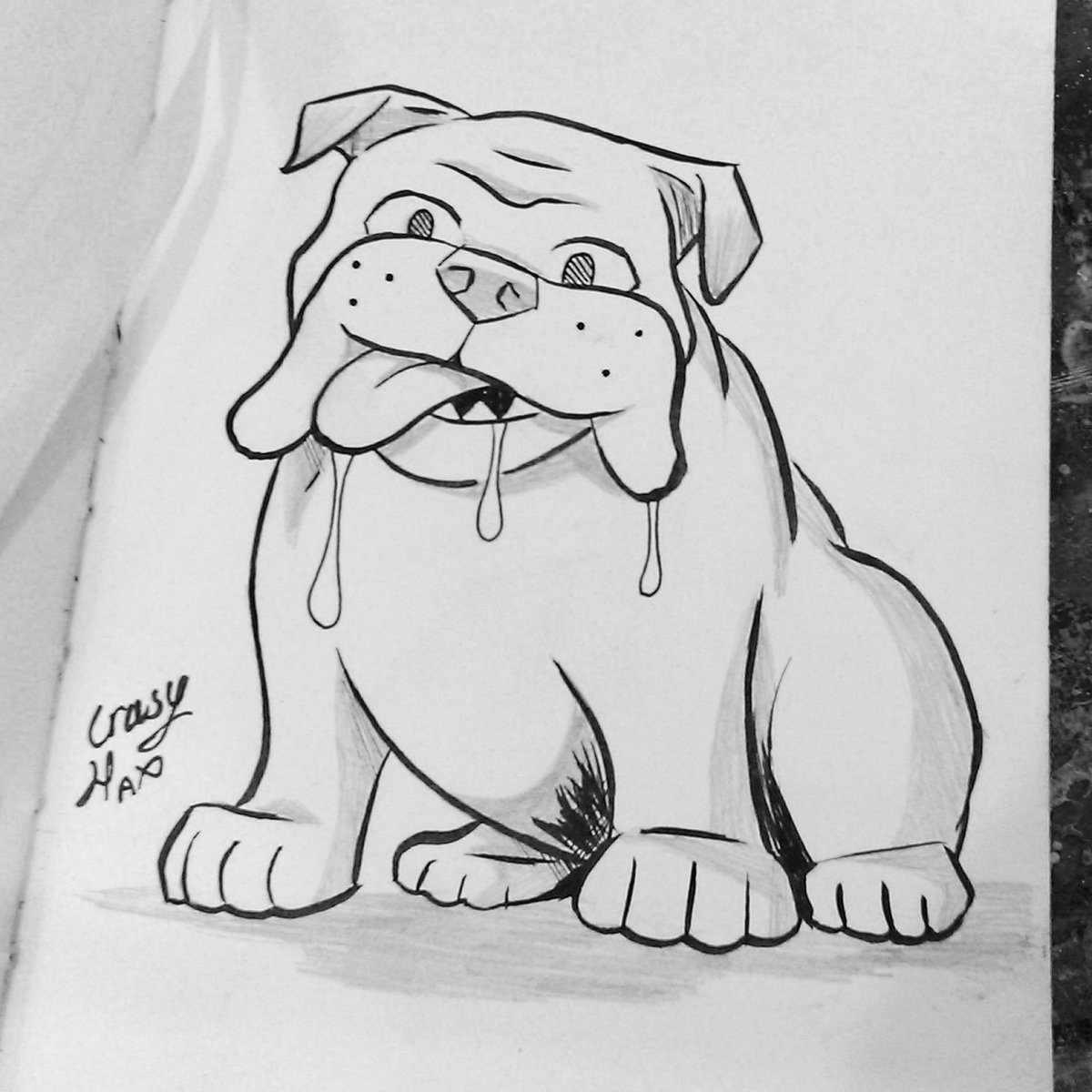 Cute Bulldog Drawing Stunning Sketch