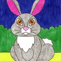 Cute Bunny Drawing Fine Art