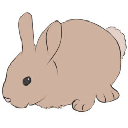 Cute Bunny Drawing Hand Drawn