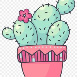 Cute Cactus Drawing Realistic Sketch