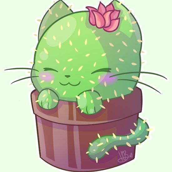 Cute Cactus Drawing