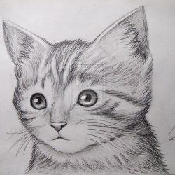 Cute Cat Drawing