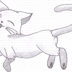 Cute Cat Drawing Detailed Sketch