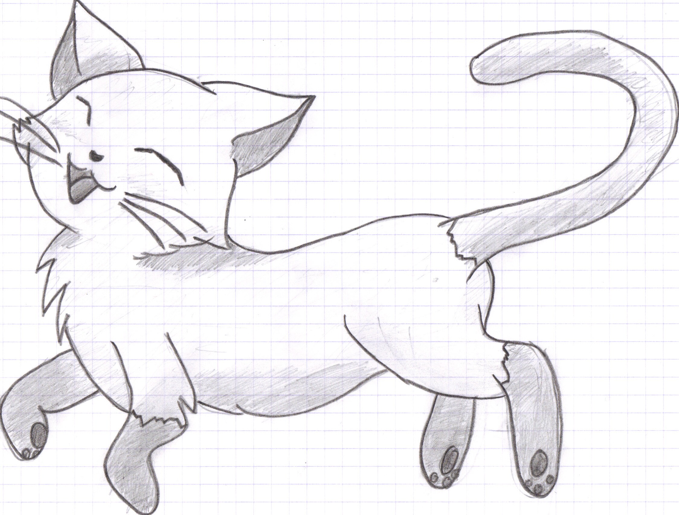 Cute Cat Drawing Detailed Sketch