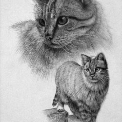 Cute Cat Drawing Modern Sketch