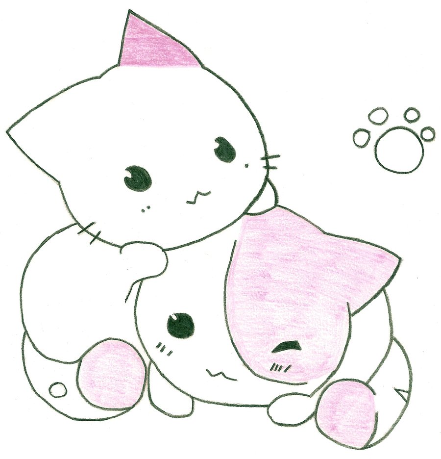 Cute Cat Drawing Picture