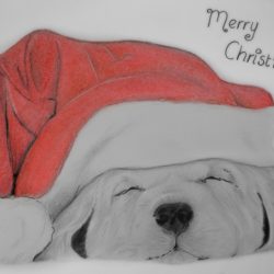 Cute Christmas Drawing Stunning Sketch