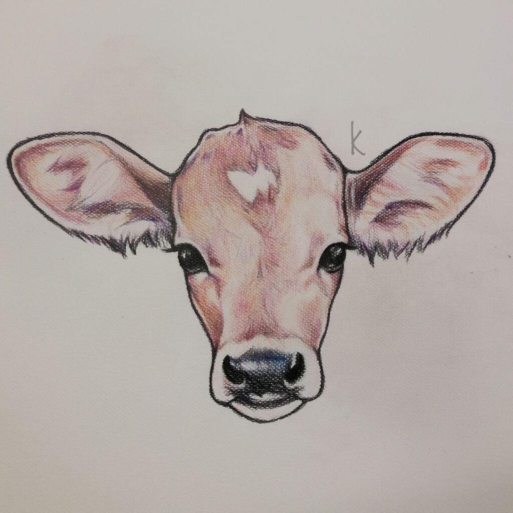 Cute Cow Drawing Intricate Artwork