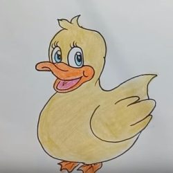 Cute Duck Drawing Hand drawn Sketch