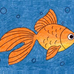 Cute Fish Drawing Amazing Sketch