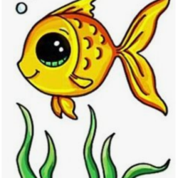 Cute Fish Drawing Artistic Sketching