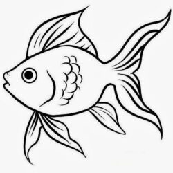 Cute Fish Drawing Beautiful Artwork