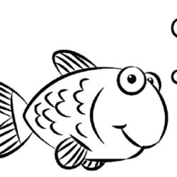 Cute Fish Drawing Image