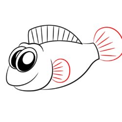 Cute Fish Drawing Picture