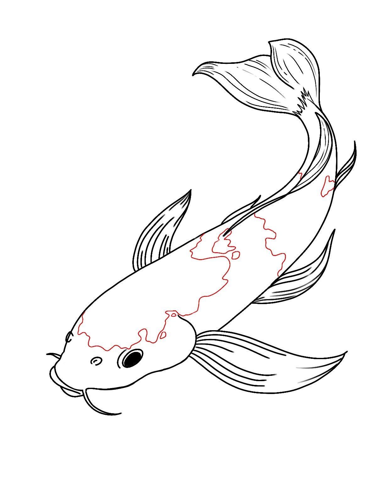 Cute Fish Drawing Stunning Sketch