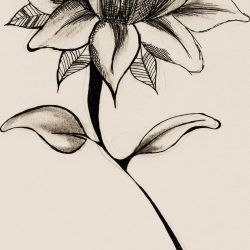 Cute Flower Drawing Creative Style