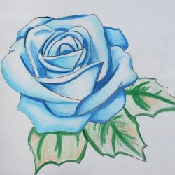 Cute Flower Drawing Image