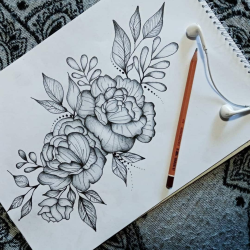 Cute Flower Drawing Intricate Artwork
