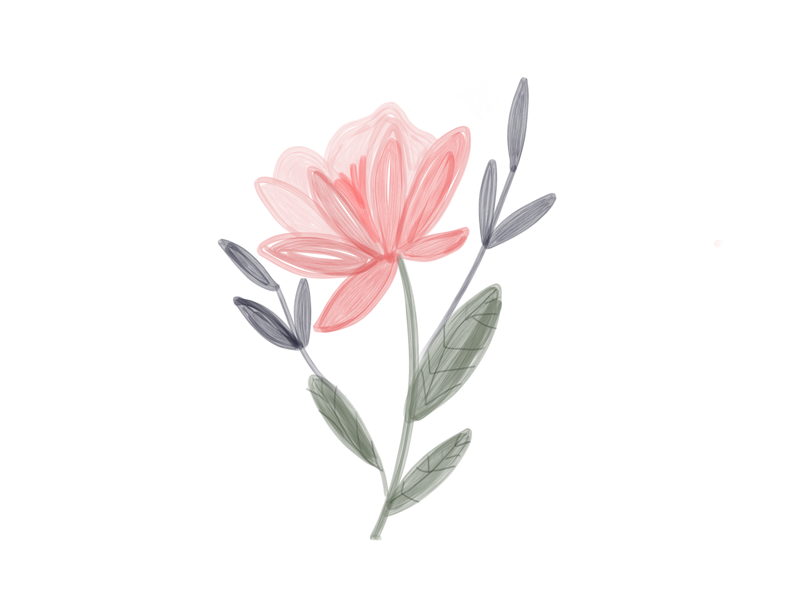 Cute Flower Drawing Photo