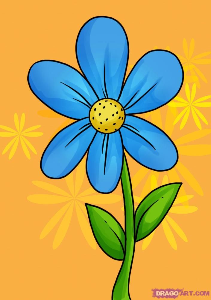 Cute Flower Drawing Picture