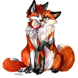 Cute Fox Drawing Picture