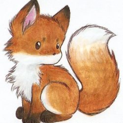 Cute Fox Drawing Sketch