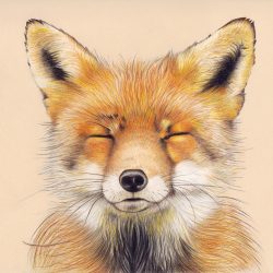 Cute Fox Drawing Stunning Sketch