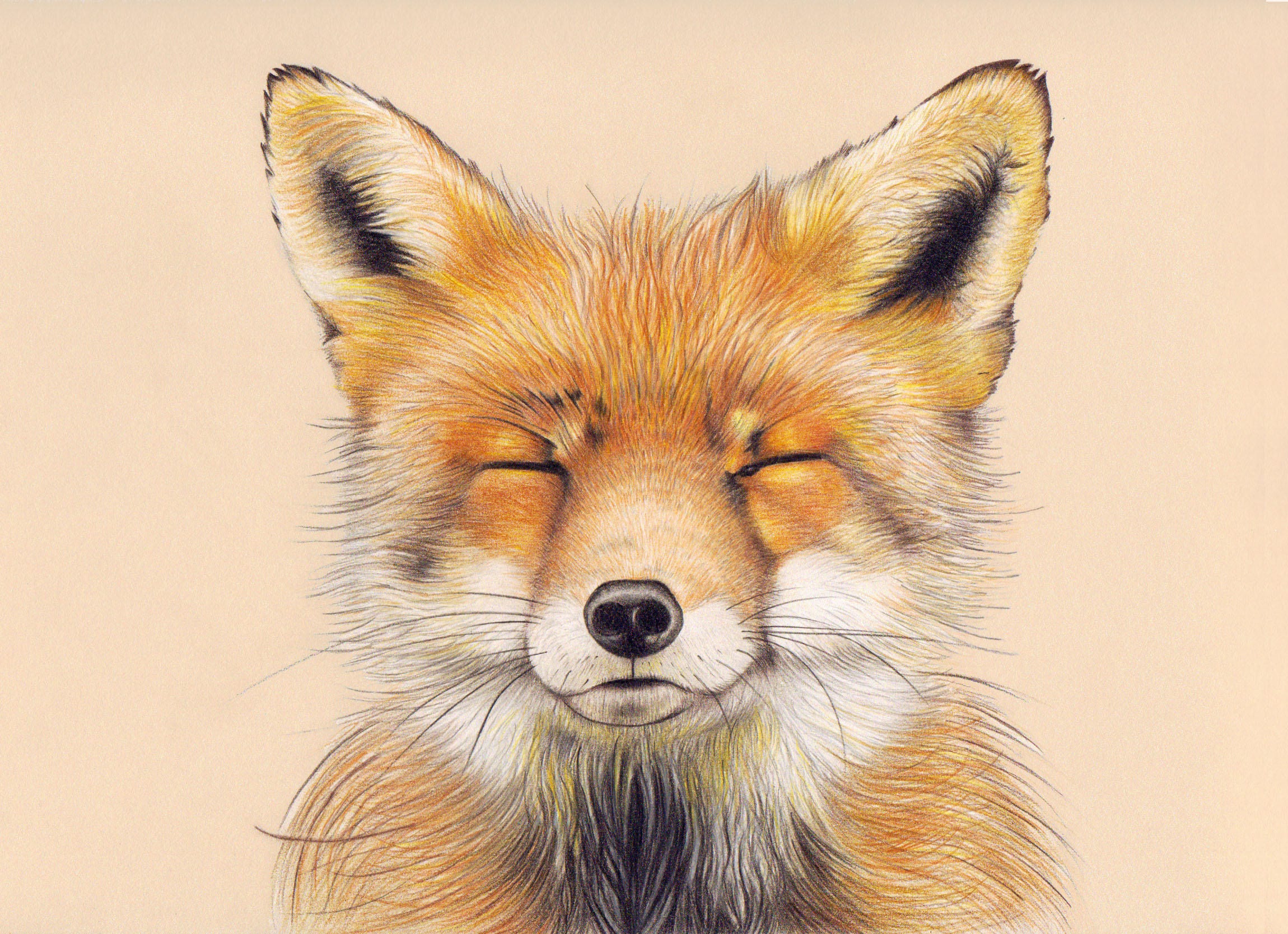 Cute Fox Drawing Stunning Sketch