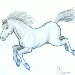 Cute Horse Drawing Modern Sketch