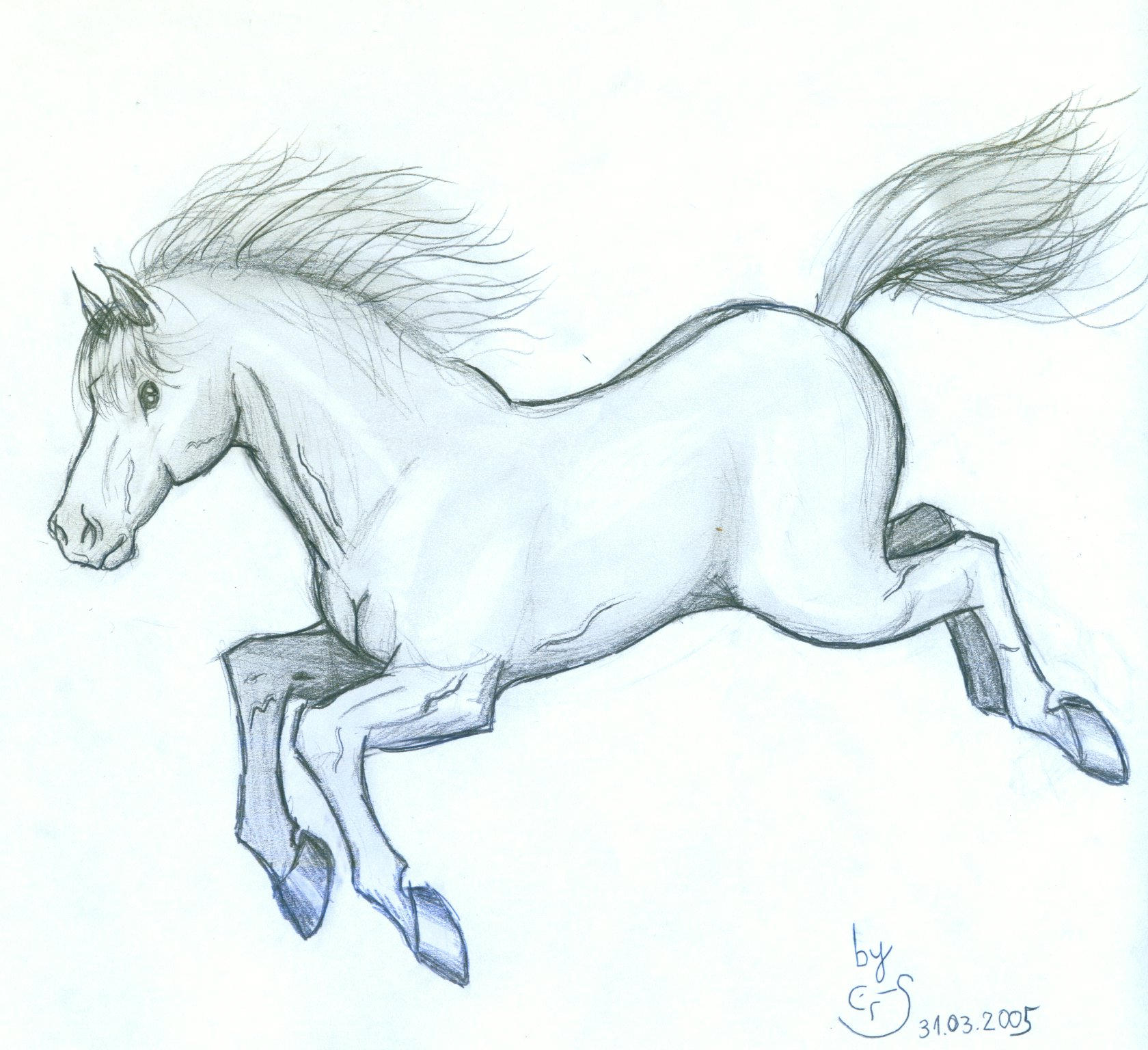 Cute Horse Drawing Modern Sketch