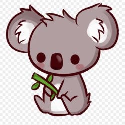 Cute Koala Drawing