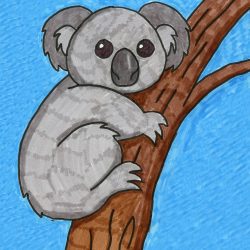 Cute Koala Drawing Hand drawn Sketch