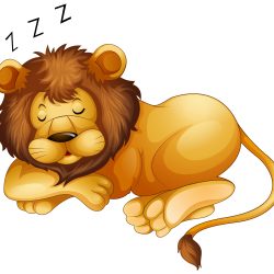 Cute Lion Drawing Image