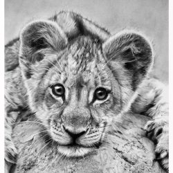 Cute Lion Drawing Intricate Artwork