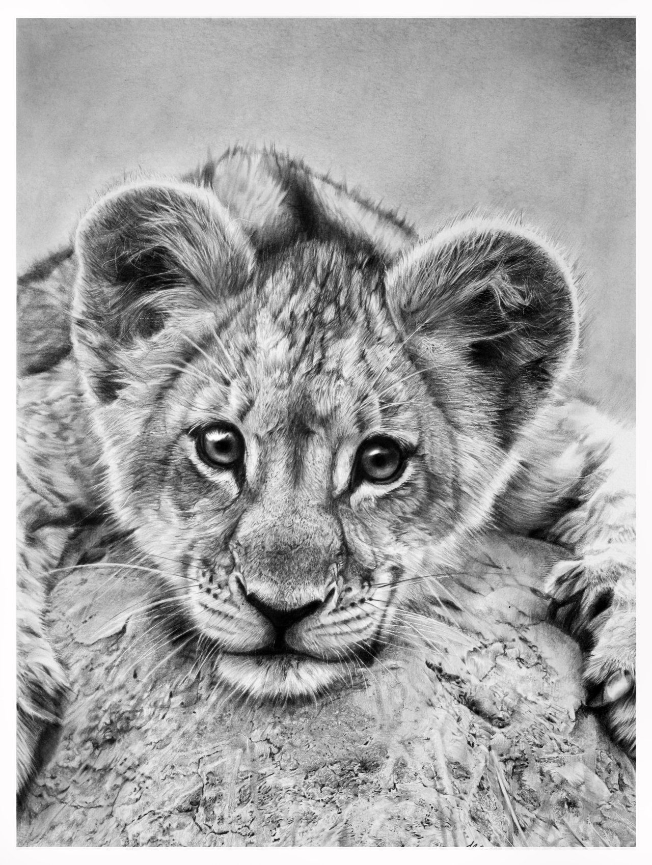 Cute Lion Drawing Intricate Artwork