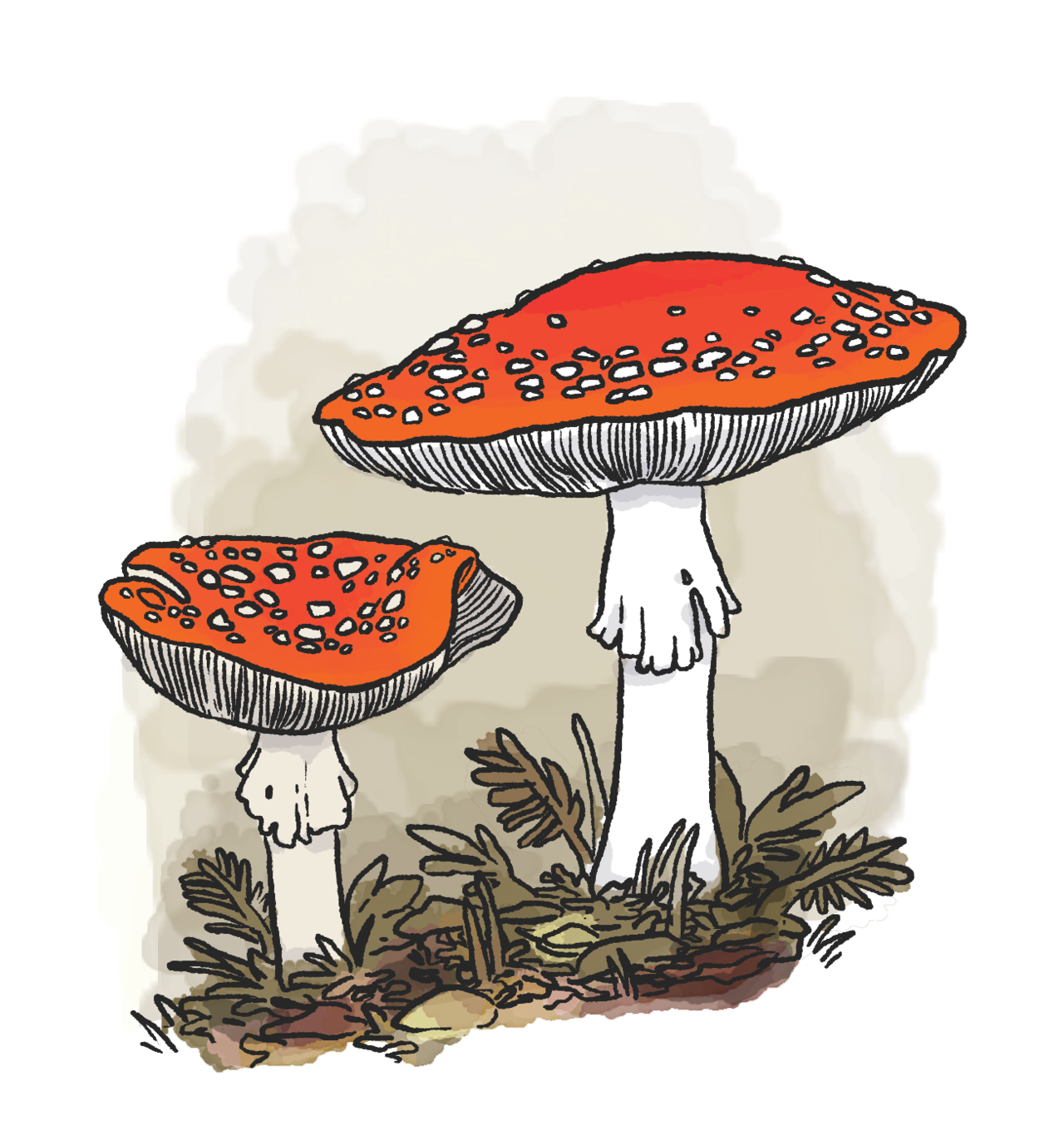 Cute Mushroom Drawing Art