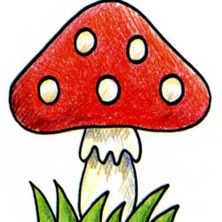 Cute Mushroom Drawing Modern Sketch