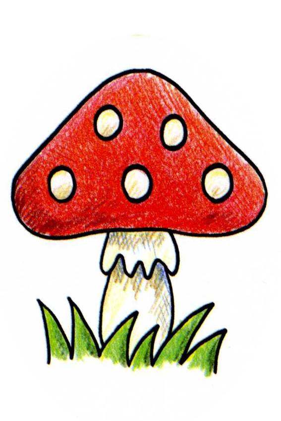 Cute Mushroom Drawing Modern Sketch