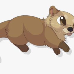 Cute Otter Drawing Amazing Sketch