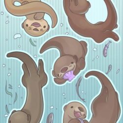 Cute Otter Drawing Fine Art