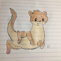 Cute Otter Drawing Photo