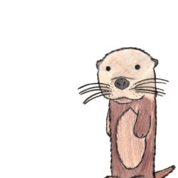 Cute Otter Drawing Realistic Sketch