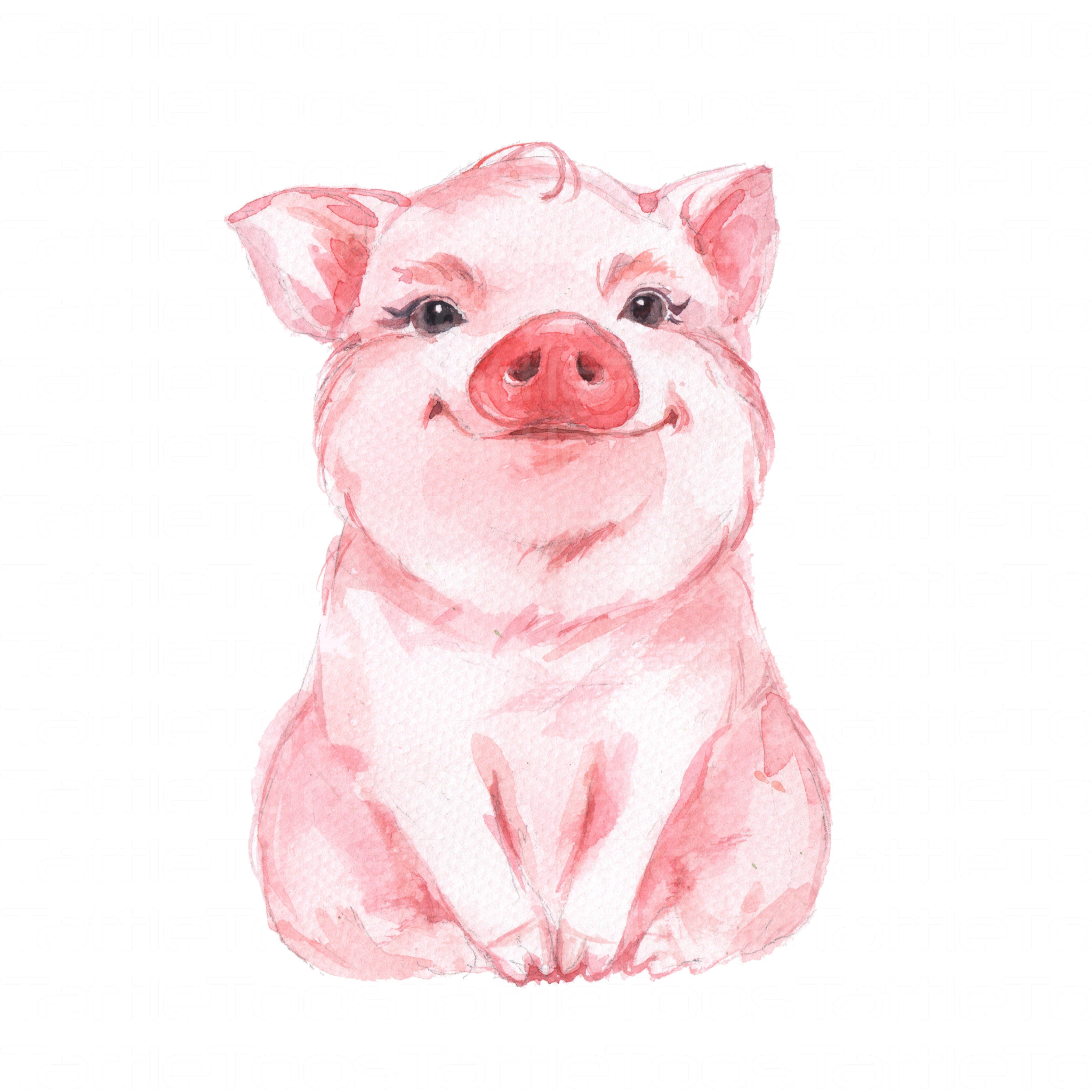 Cute Pig Drawing Art