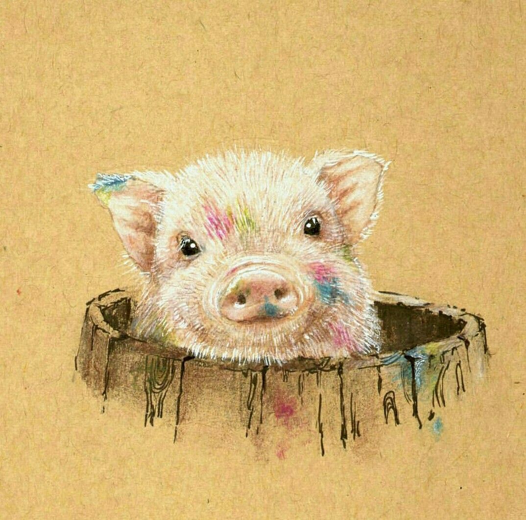 Cute Pig Drawing Modern Sketch