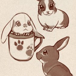 Cute Rabbit Drawing Artistic Sketching