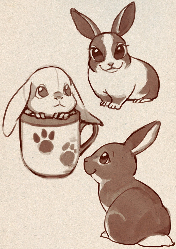 Cute Rabbit Drawing Artistic Sketching