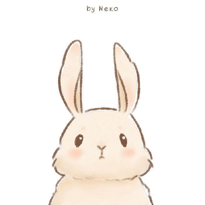 Cute Rabbit Drawing Photo