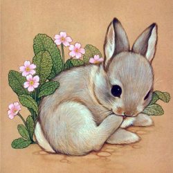 Cute Rabbit Drawing Stunning Sketch