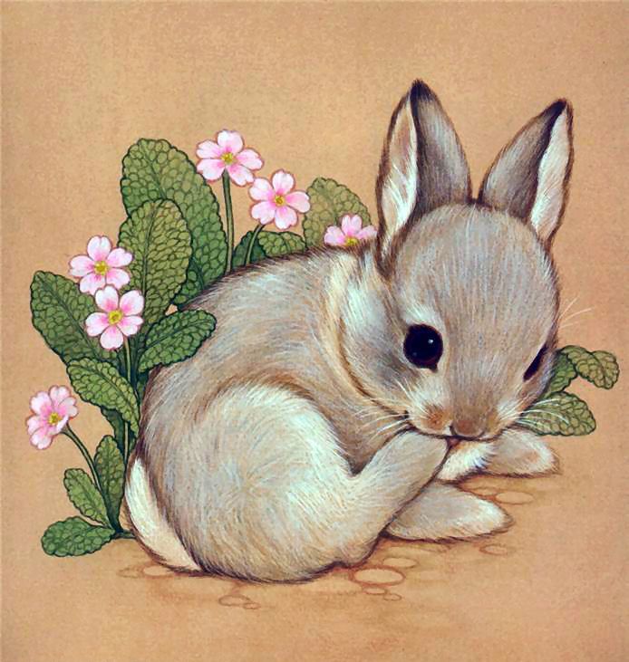 Cute Rabbit Drawing Stunning Sketch
