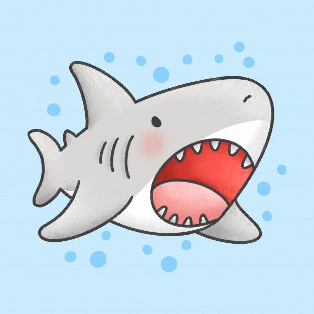 Cute Shark Drawing Detailed Sketch